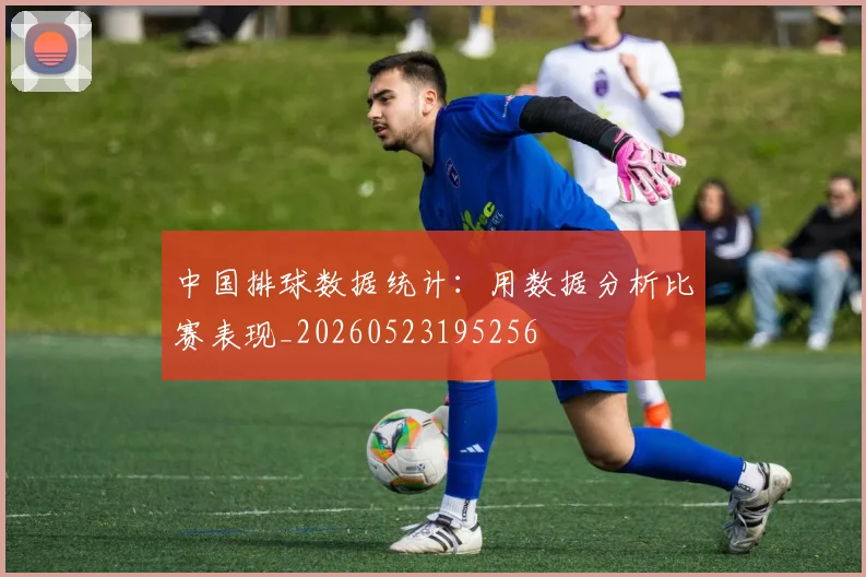 中国排球数据统计：用数据分析比赛表现_20260523195256
